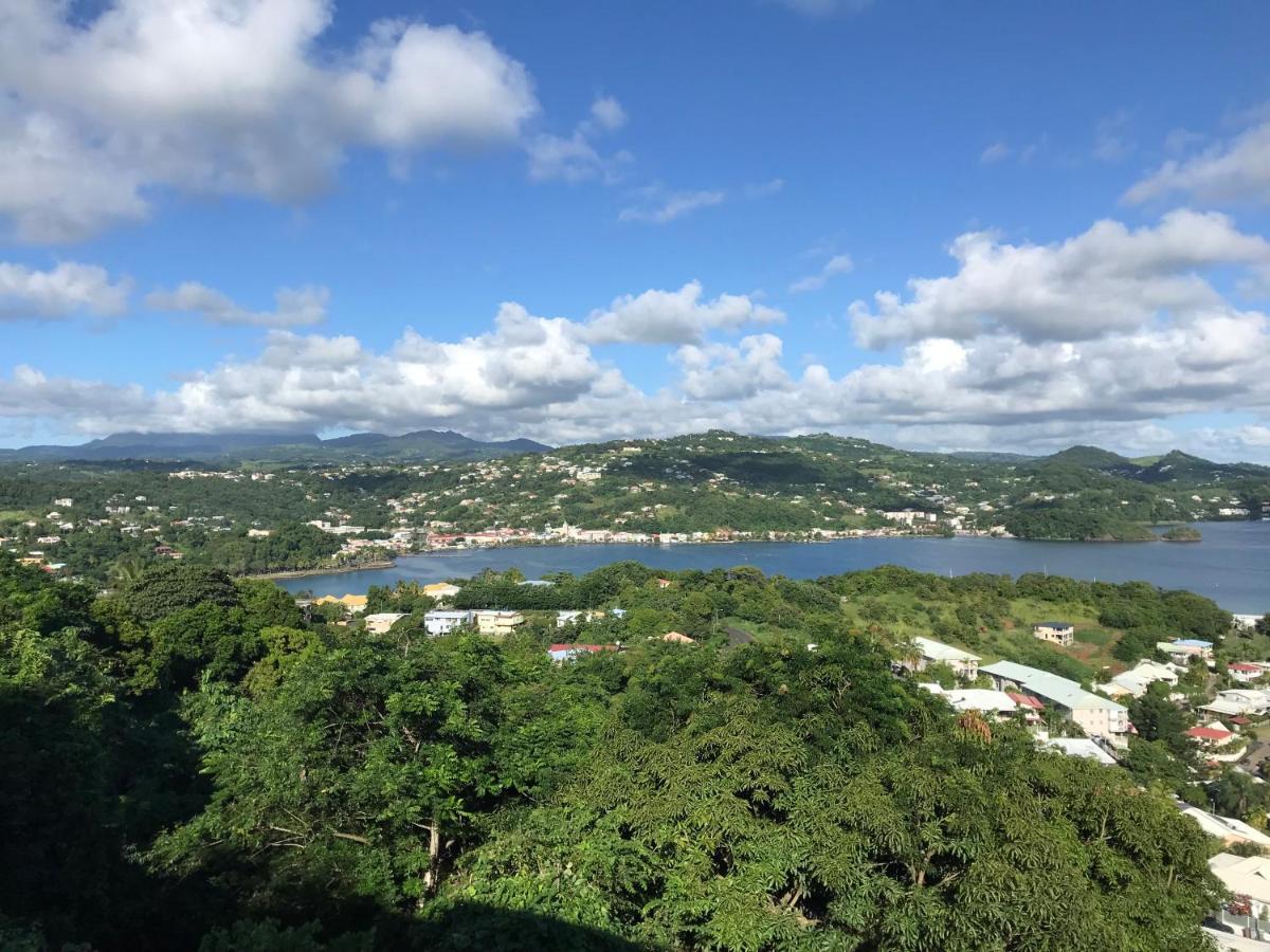 Top Hill Hostel- Martinique- Auberge Dortoir La Trinite Εξωτερικό φωτογραφία