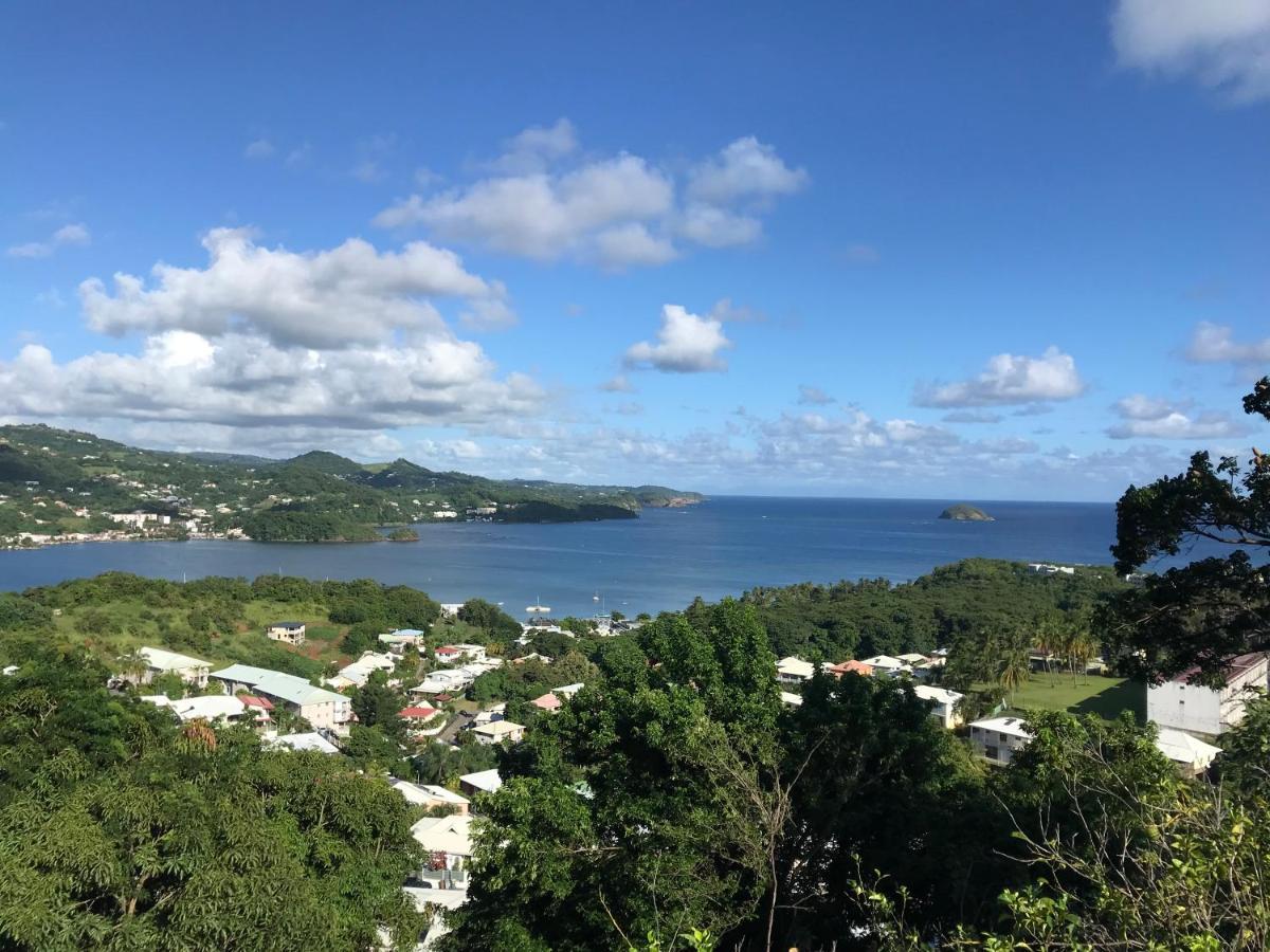 Top Hill Hostel- Martinique- Auberge Dortoir La Trinite Εξωτερικό φωτογραφία